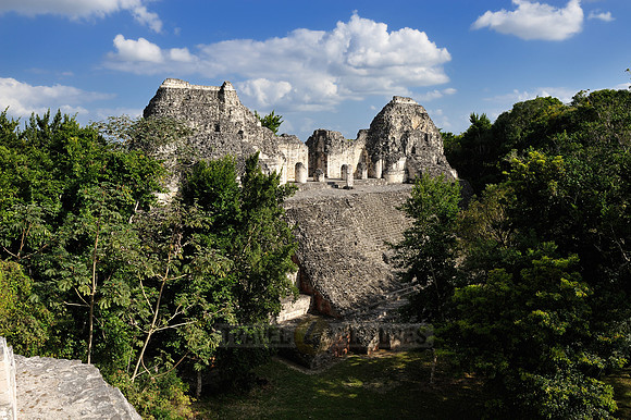 Estructura VIII