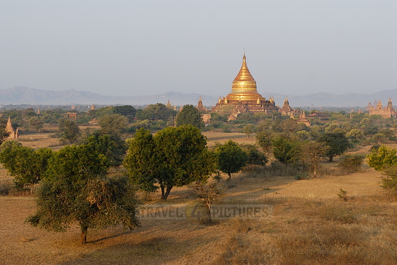 Ballons over Bagan