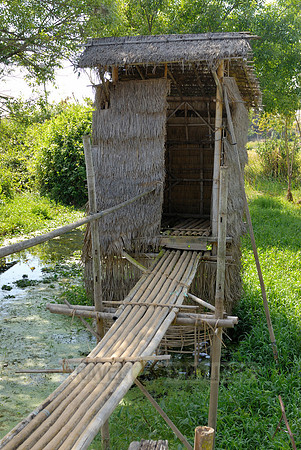 pile-dwellings of swimming village