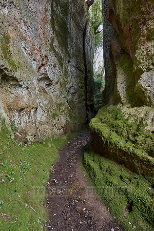 Etruscan path (Via Cava) connecting ancient necropolis