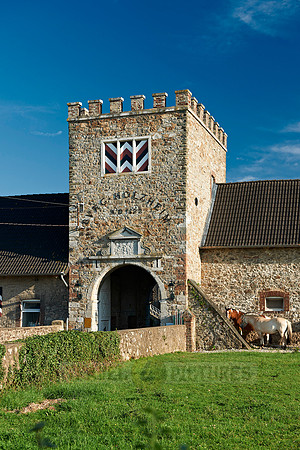 Holzheim castle