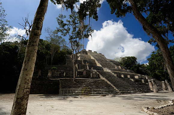 Maya Site Calakmul