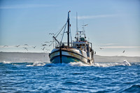 fishing vessel running out for fishing