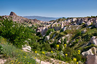 view into Pigeon Valley