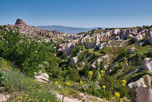 view into Pigeon Valley