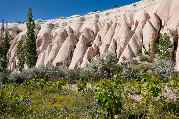 landscape of Rose Valley Goreme