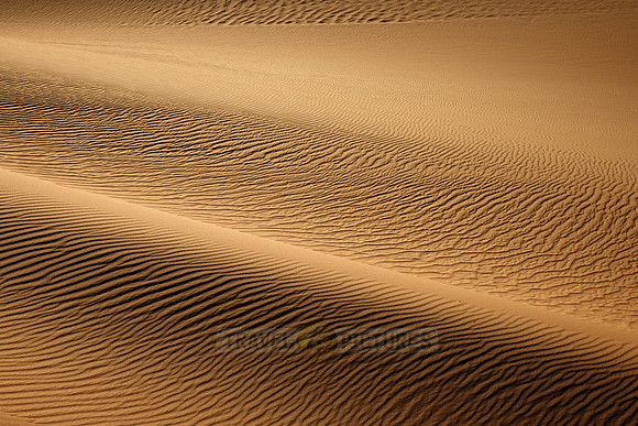 desert landscape with sand dunes