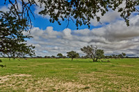 landscape in Kalahari