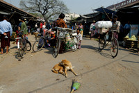 Zegyo Market