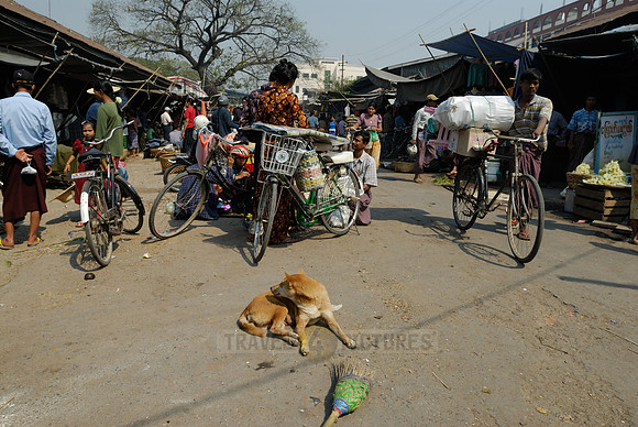 Zegyo Market