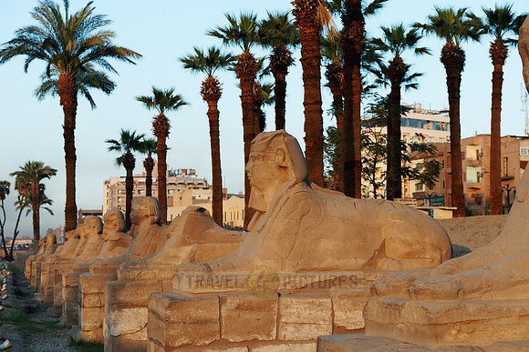 way of sphinxes in Temple of Luxor