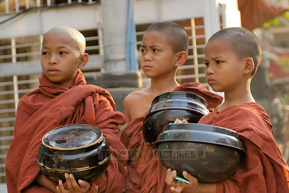 young monks