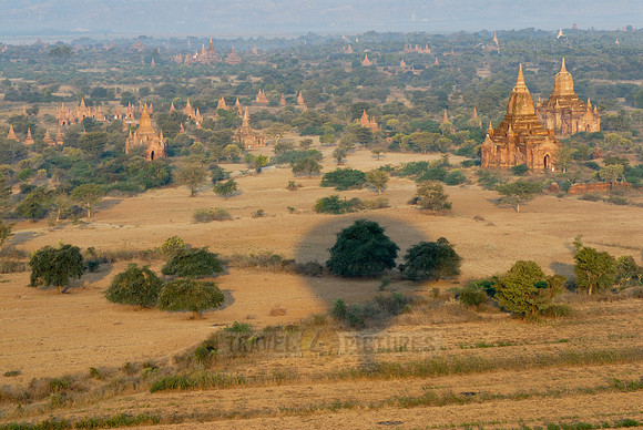Ballons over Bagan