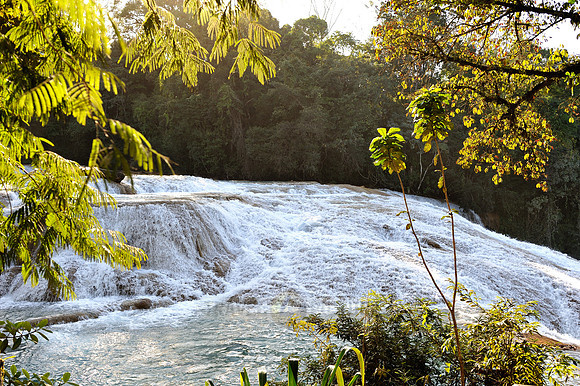 cascades of Agua Azul