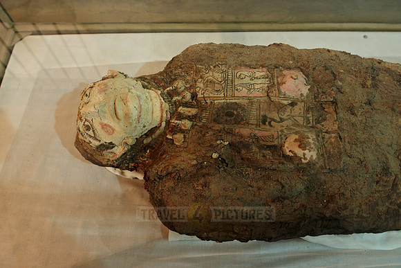 mummy in museum of Oasis